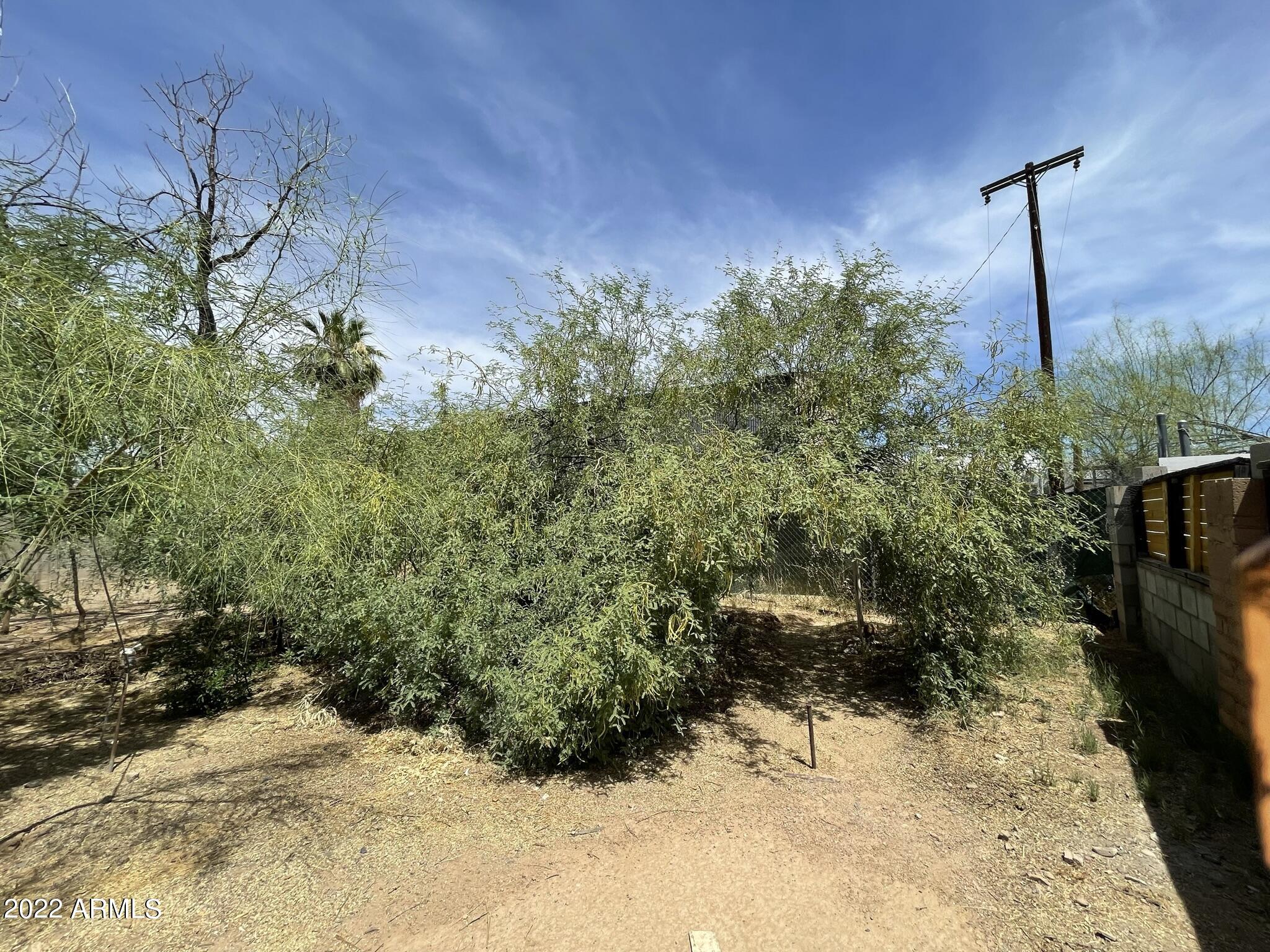 1942 West Lawrence Road Phoenix, AZ 85015 - Photo 26 of 27 IMG_3500