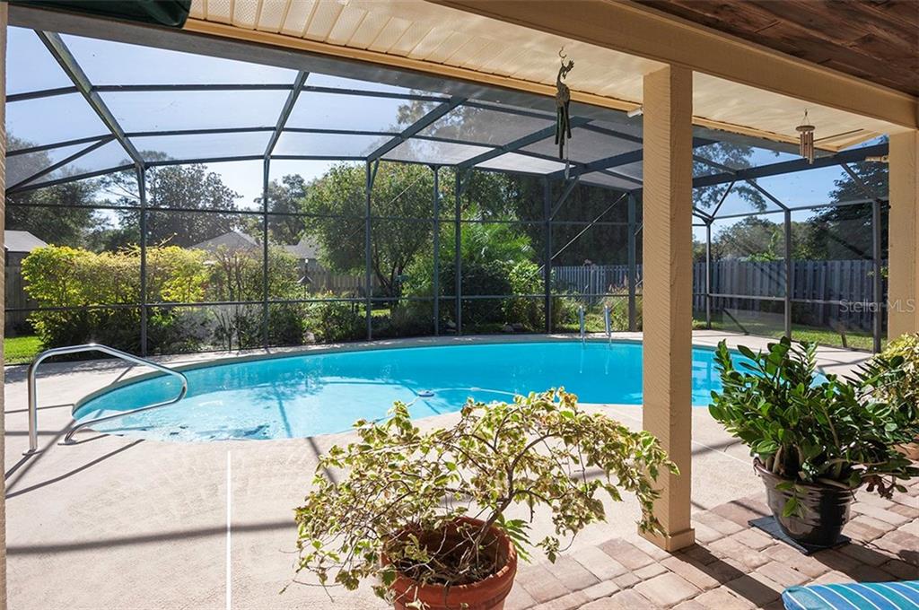 145 Spring Chase Circle Altamonte Springs, FL 32714 - Photo 41 of 54 A book, a refreshing drink and a comfortable lounge chair!