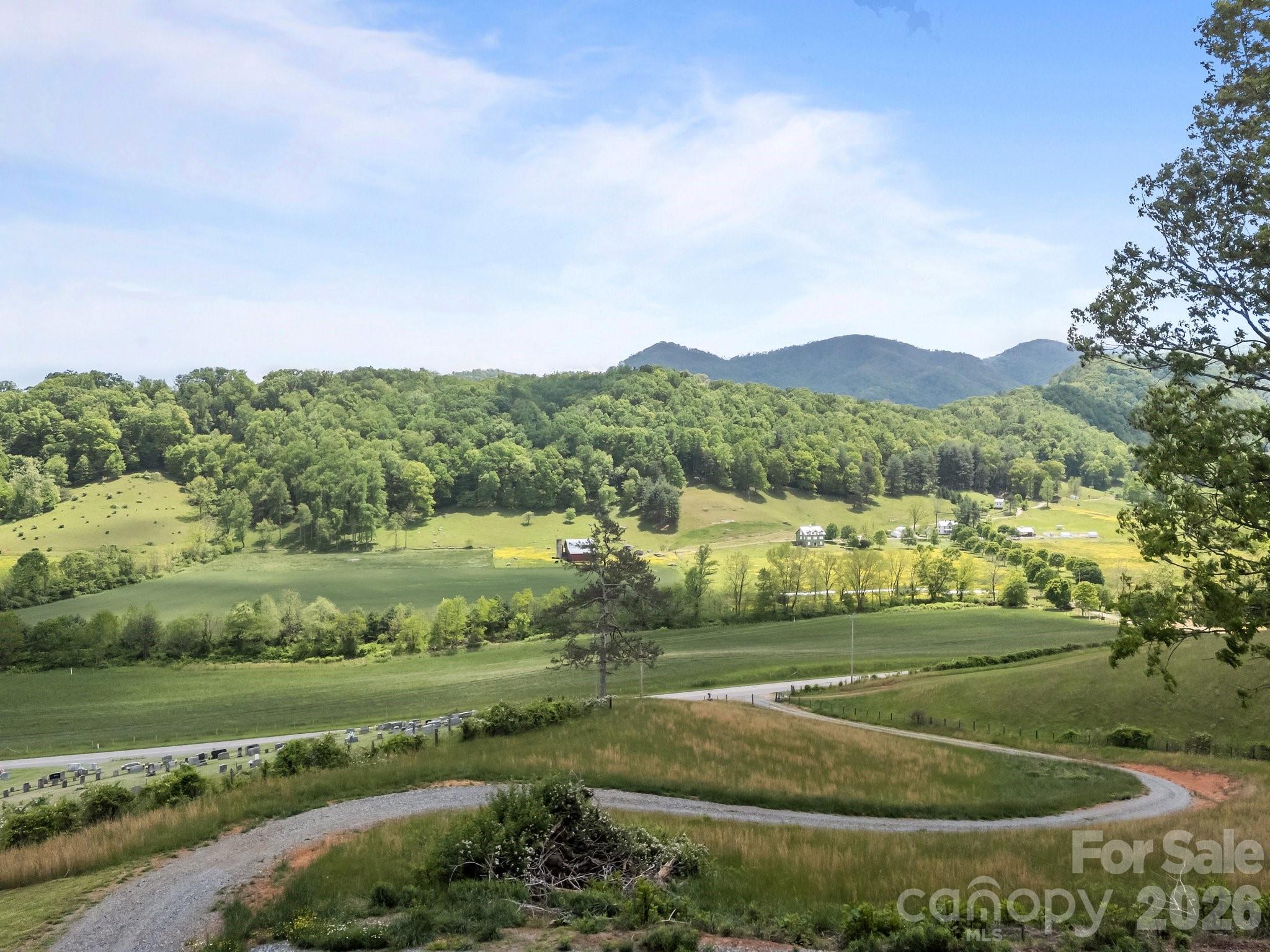 411 Big Sandy Mush Road Leicester, NC 28748 - Photo 15 of 26 Gallery Image 15