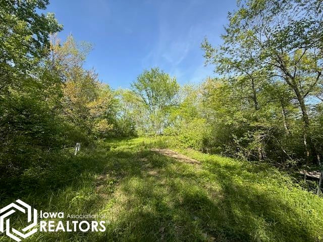 Salem Road New London, IA 52645 - Photo 17 of 34 Gallery Image 17