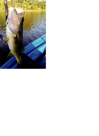 $145,000 | 11941 West Hollyhill Street, Plantersville, TX 77363