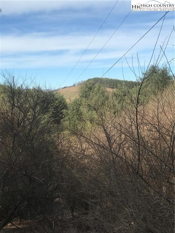 Deer Path Road Crumpler, NC 28617 - Photo 3 of 9