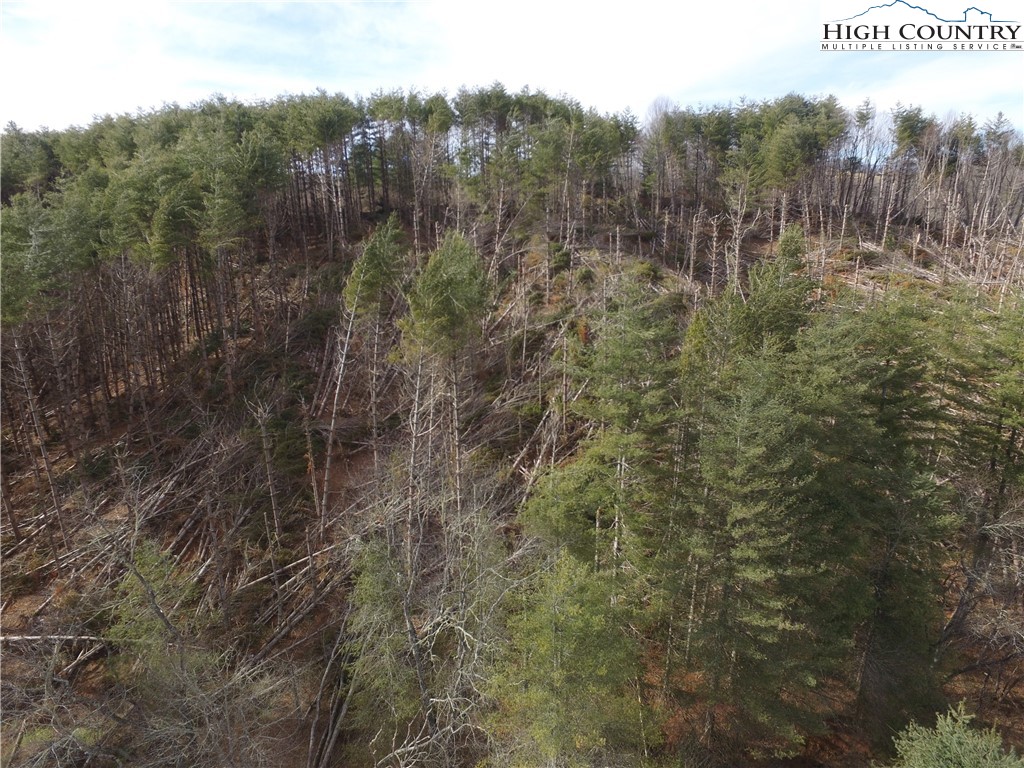 Deer Path Road Crumpler, NC 28617 - Photo 4 of 9