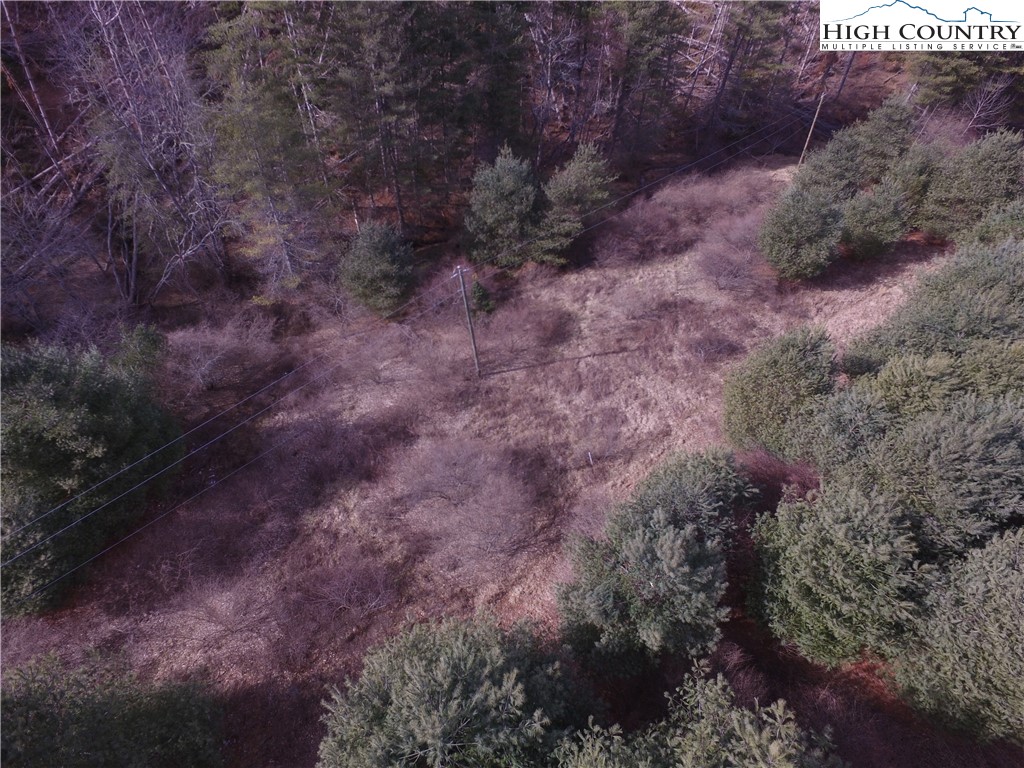 Deer Path Road Crumpler, NC 28617 - Photo 7 of 9