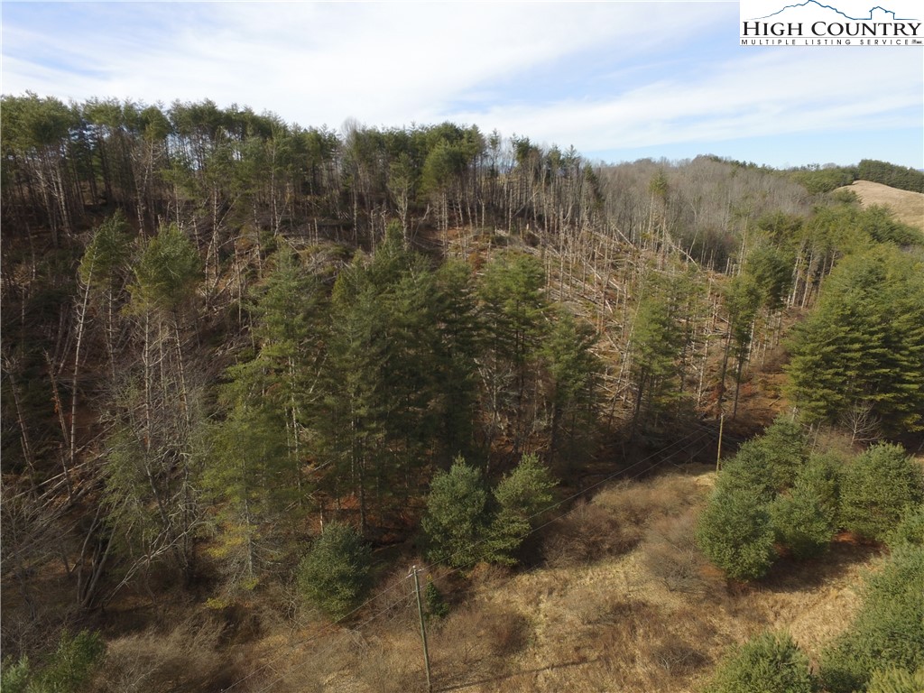 Deer Path Road Crumpler, NC 28617 - Photo 8 of 9