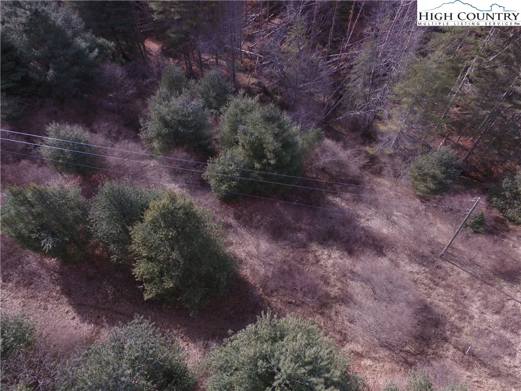 Deer Path Road Crumpler, NC 28617 - Photo 9 of 9