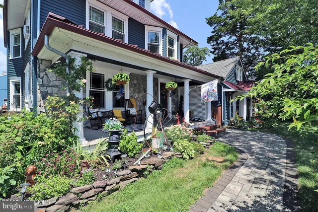 a view of a park with plants and trees