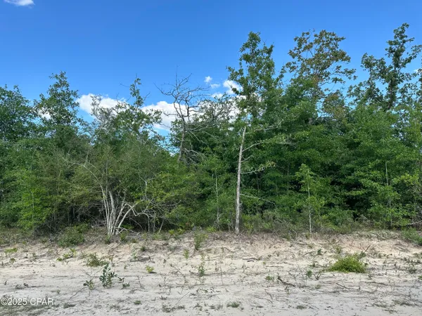 $11,500 | 0 Northwest Lake Side Drive, Altha, FL 32421