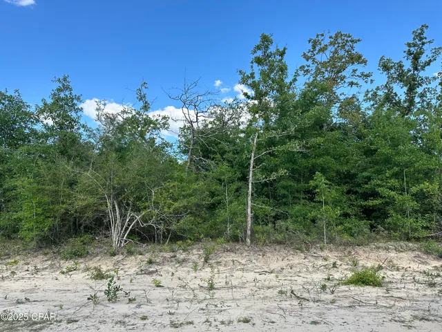 $12,000 | 0 Northwest Lake Side Drive, Altha, FL 32421