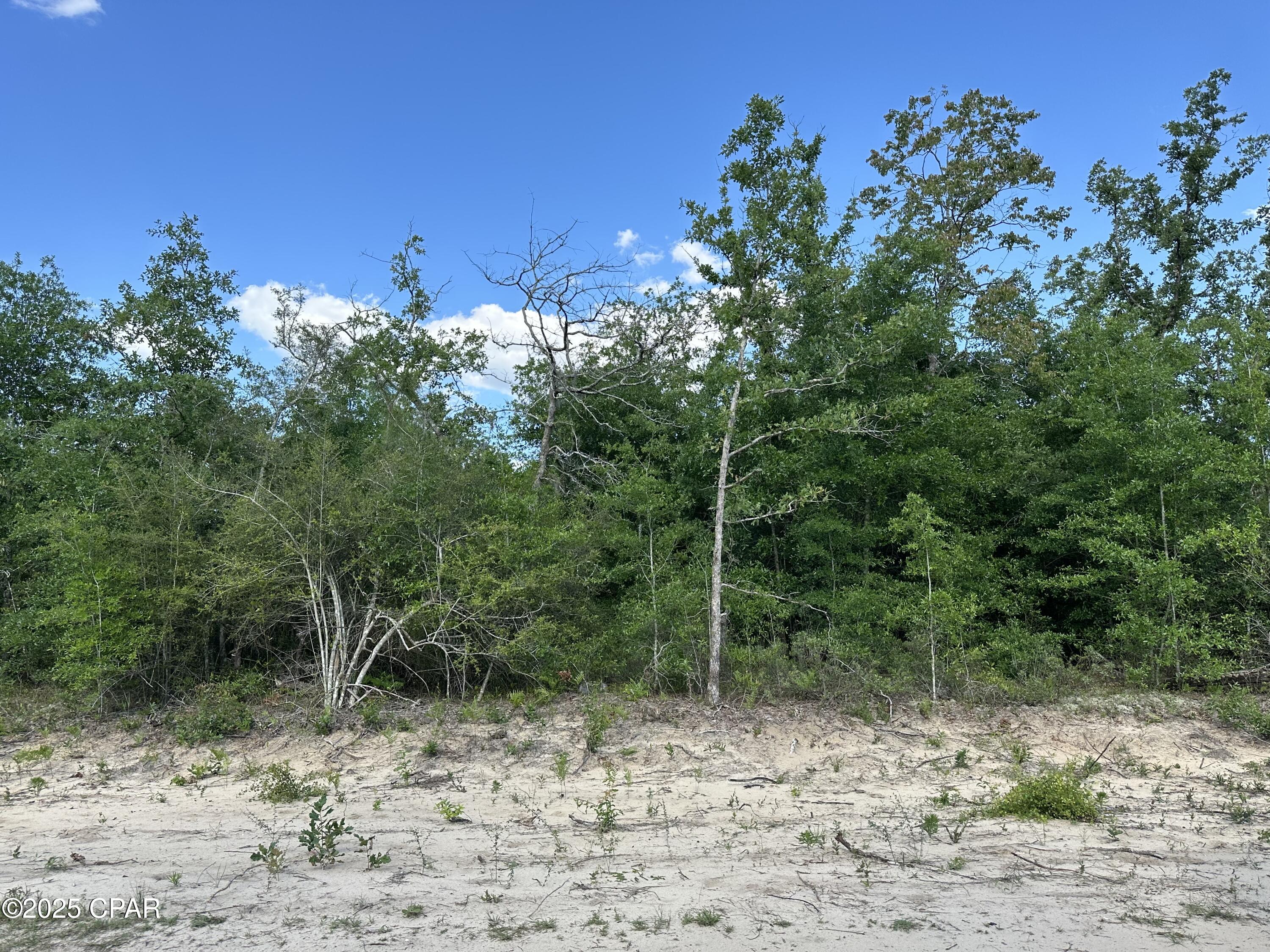 0 Northwest Lake Side Drive Altha, FL 32421 - Photo 4 of 9