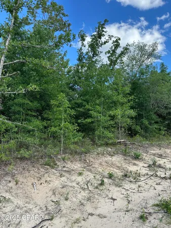 $11,500 | 0 Northwest Lake Side Drive, Altha, FL 32421