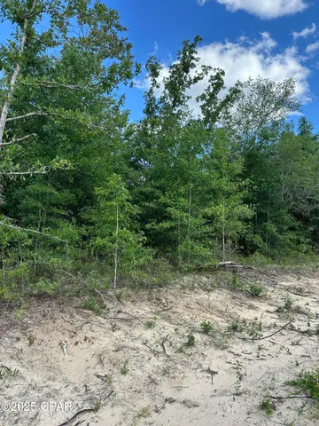 $12,000 | 0 Northwest Lake Side Drive, Altha, FL 32421