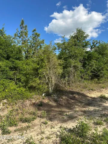 $12,000 | 0 Northwest Lake Side Drive, Altha, FL 32421