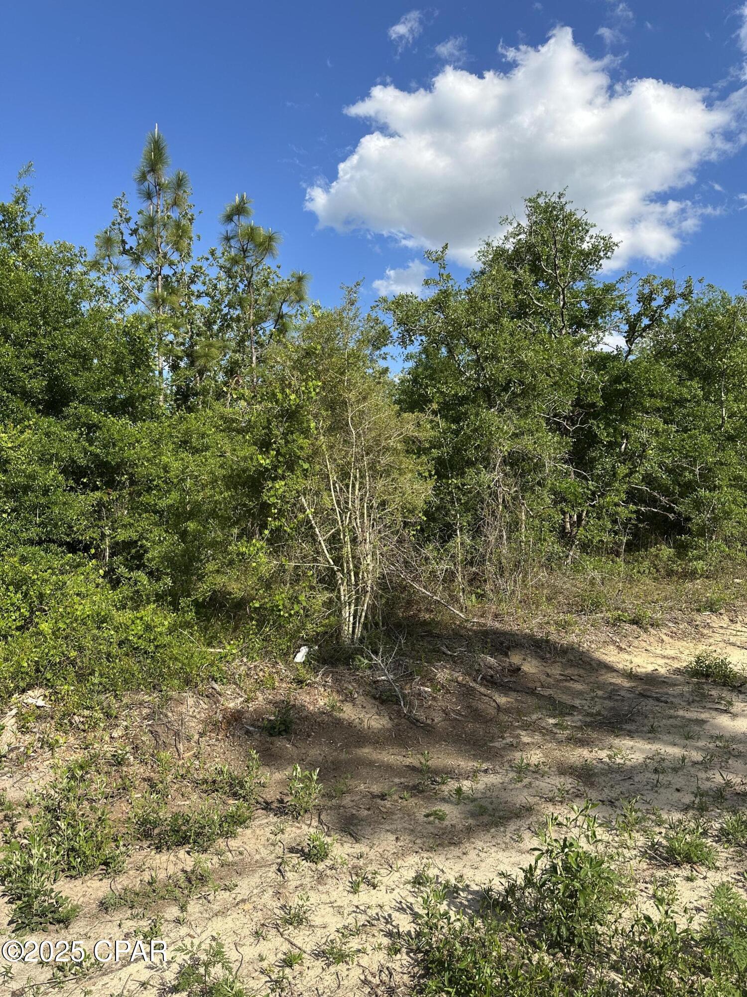 0 Northwest Lake Side Drive Altha, FL 32421 - Photo 6 of 9