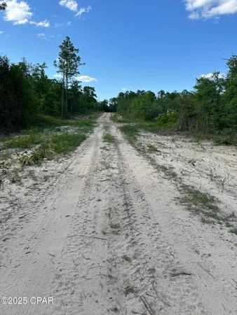 $11,500 | 0 Northwest Lake Side Drive, Altha, FL 32421