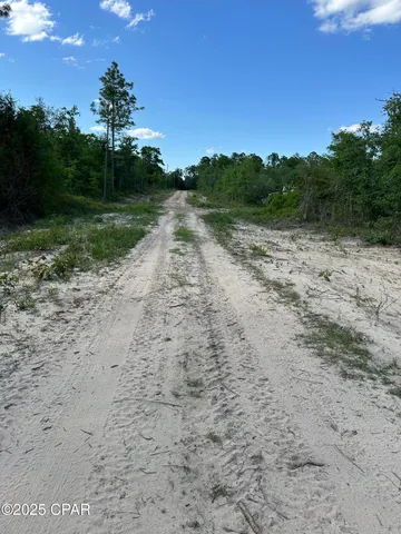 $12,000 | 0 Northwest Lake Side Drive, Altha, FL 32421