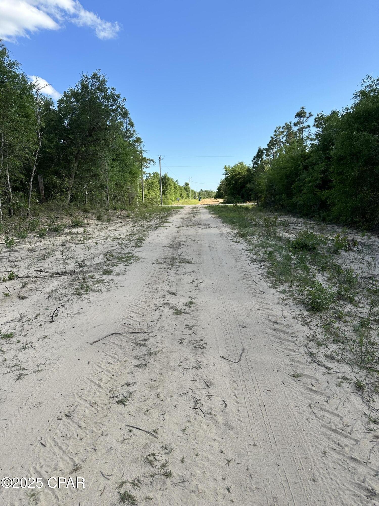 0 Northwest Lake Side Drive Altha, FL 32421 - Photo 9 of 9