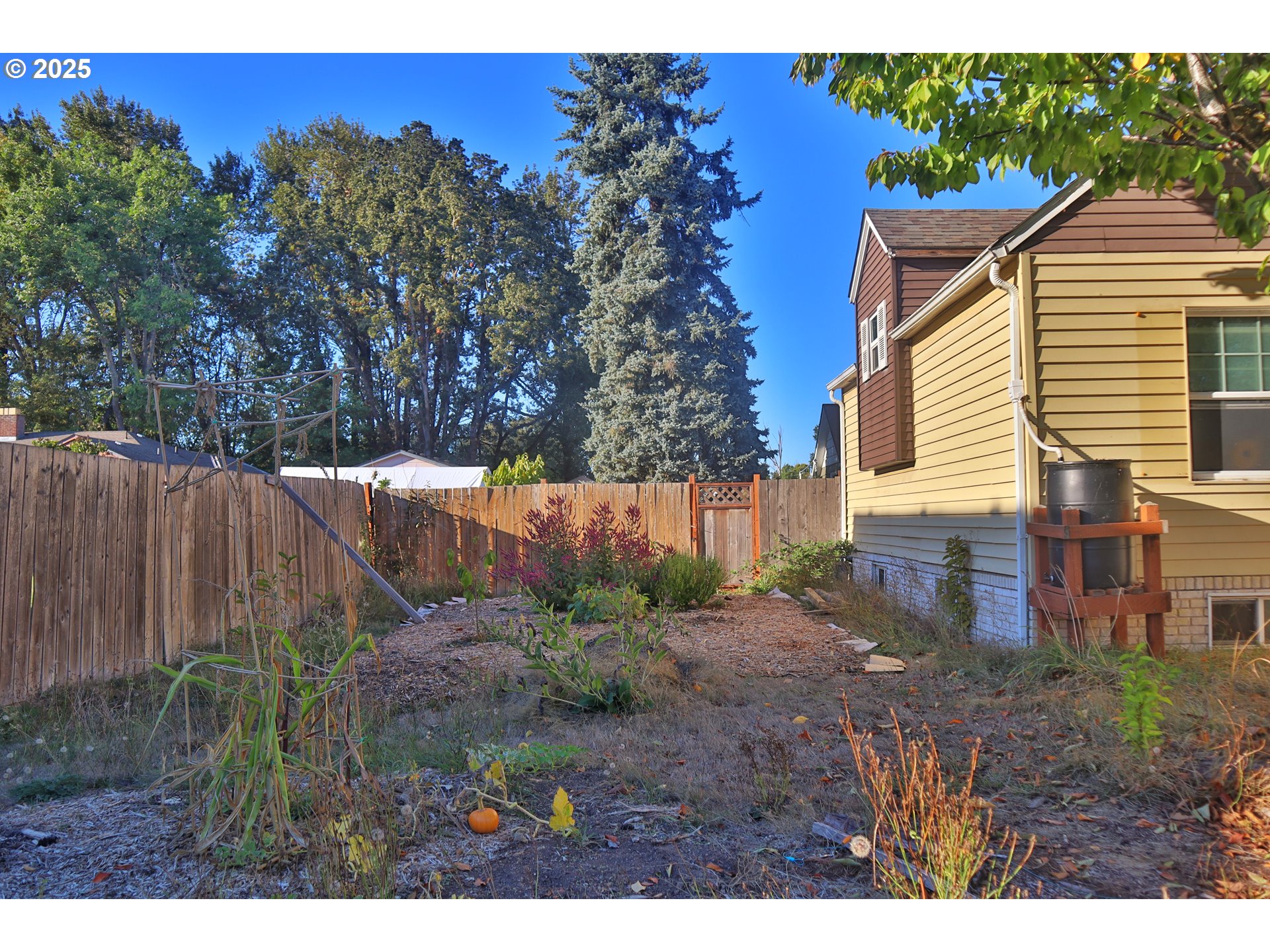1423 Front Avenue Northeast Albany, OR 97321 - Photo 24 of 31 Backyard