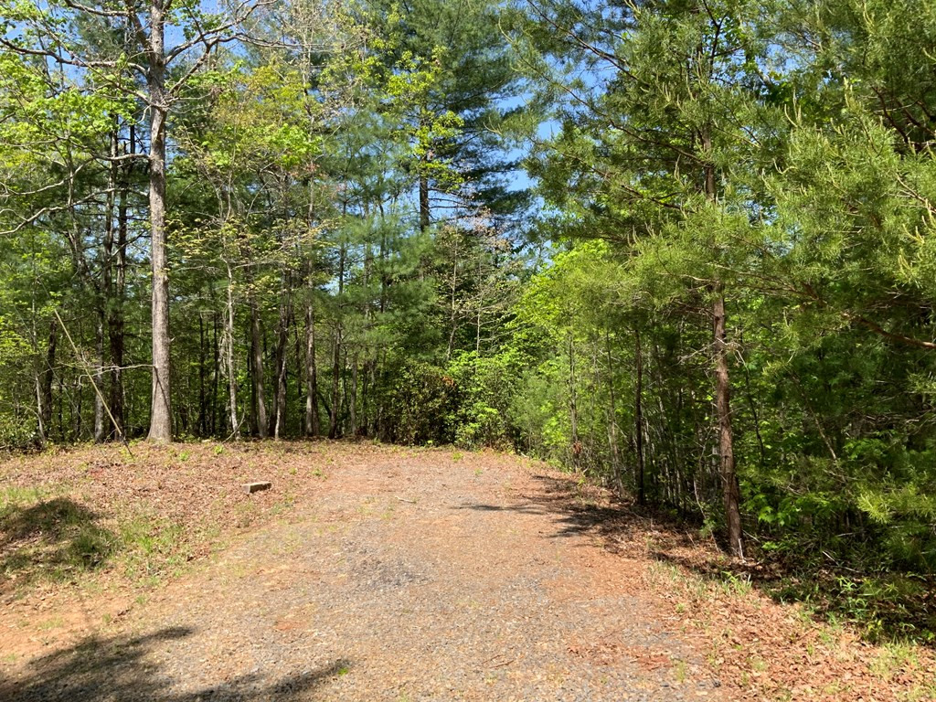 Lot 22 Ridgewood Drive Murphy, NC 28906 - Photo 4 of 21 Gallery Image 4