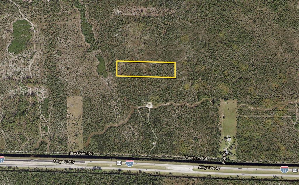 Black Burn Road Naples, FL 34117 - Photo 39 of 39 Gallery Image 39