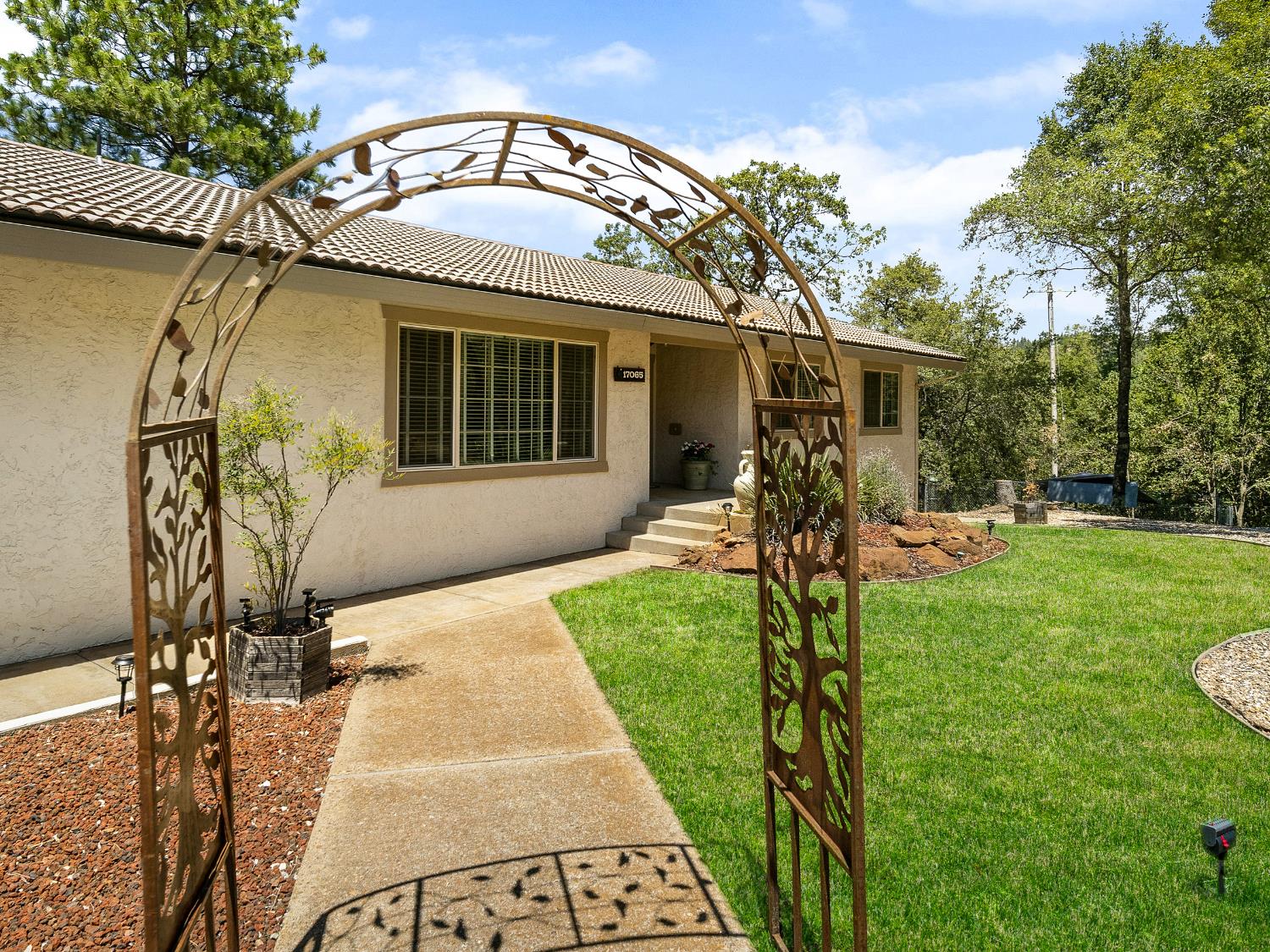 17065 Niles Road Jackson, CA 95642 - Photo 14 of 26 a view of a backyard with a patio
