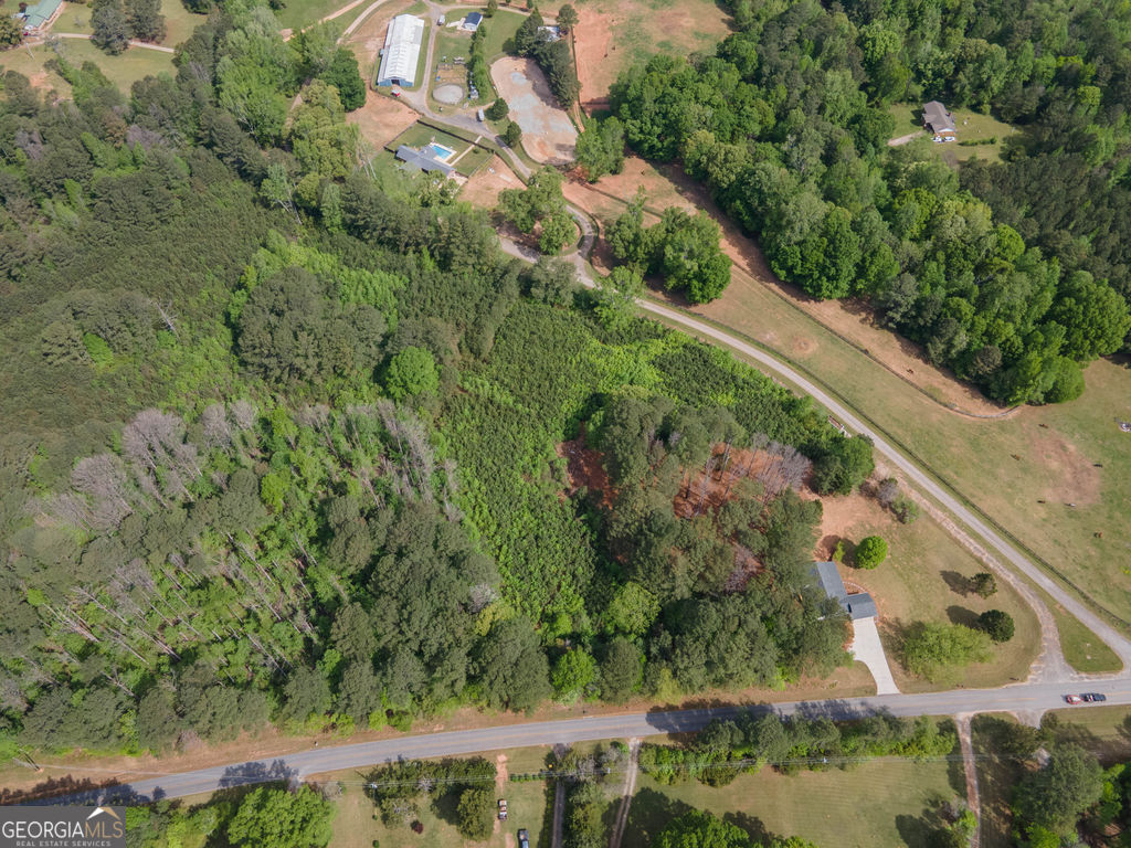 0 Beavers Road Grantville, GA 30220 - Photo 8 of 11