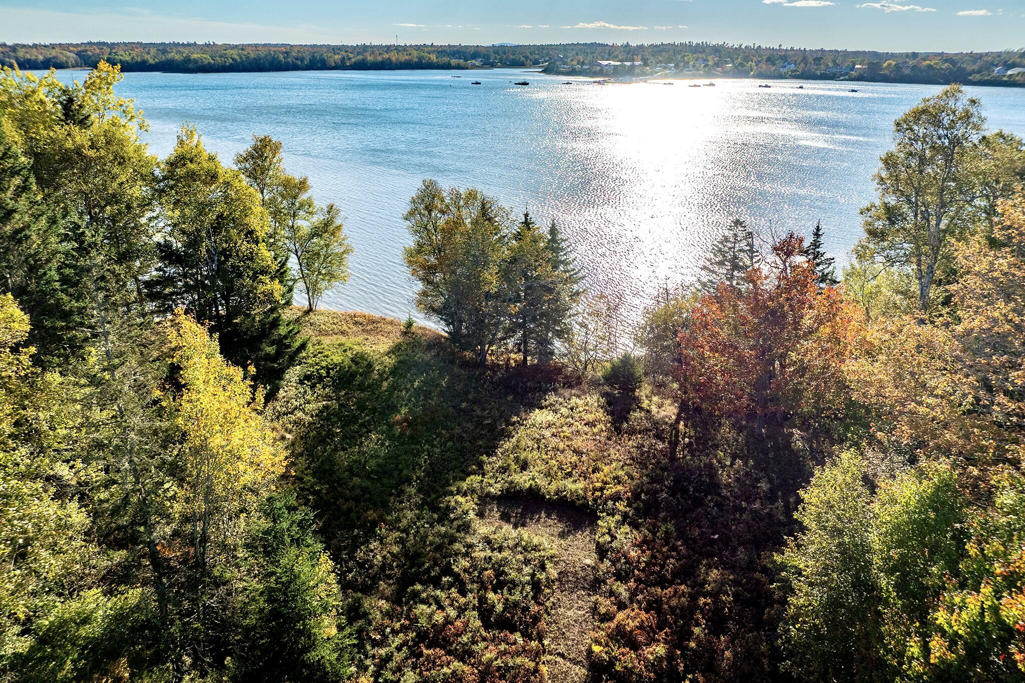 Lot 55 Ficketts Point Road Milbridge, ME 04658 - Photo 3 of 11 3