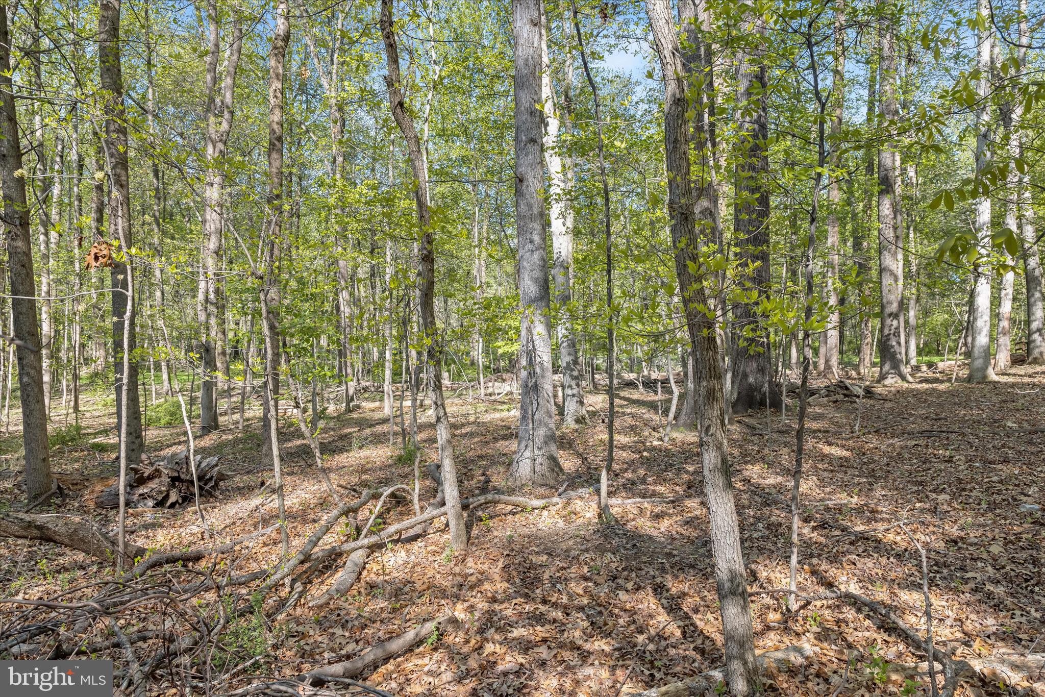 2204 Harmony Woods Road Owings Mills, MD 21117 - Photo 6 of 35 Grounds