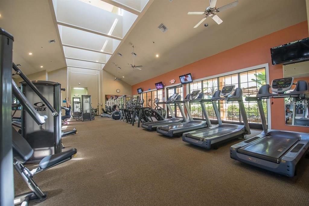 428 Seneca Falls Drive Apollo Beach, FL 33572 - Photo 26 of 31 a room with gym equipment and a large window