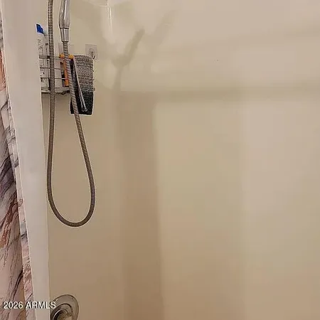 a view of potted plants in front of house