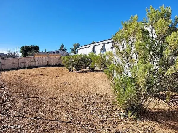 a view of a yard with plants and a large tree