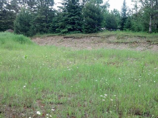 Near West Timber Drive Rhinelander, WI 54501 - Photo 16 of 20 Gallery Image 16