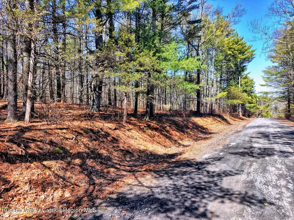 a view of outdoor space with lots of trees