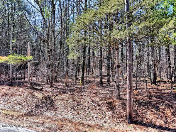 a view of a backyard with large trees