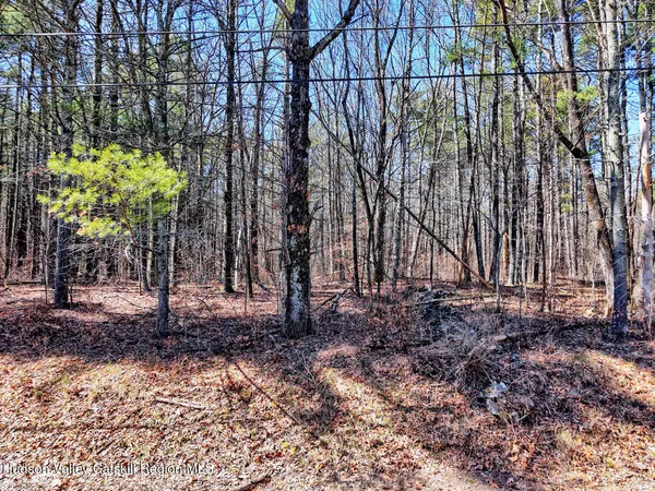 a backyard of a house with a tree
