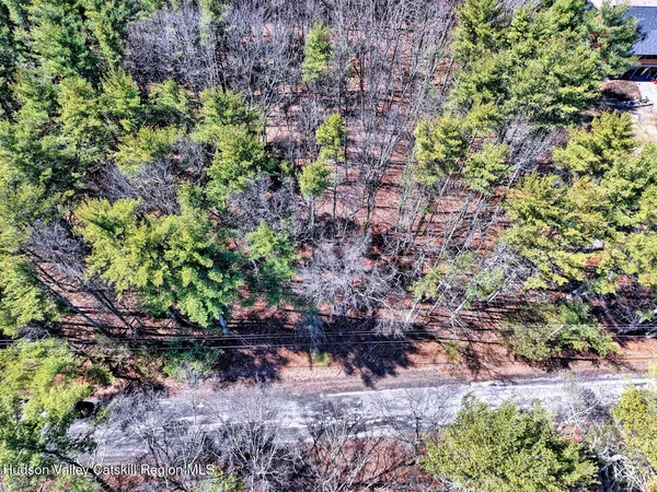 a view of a garden with plants