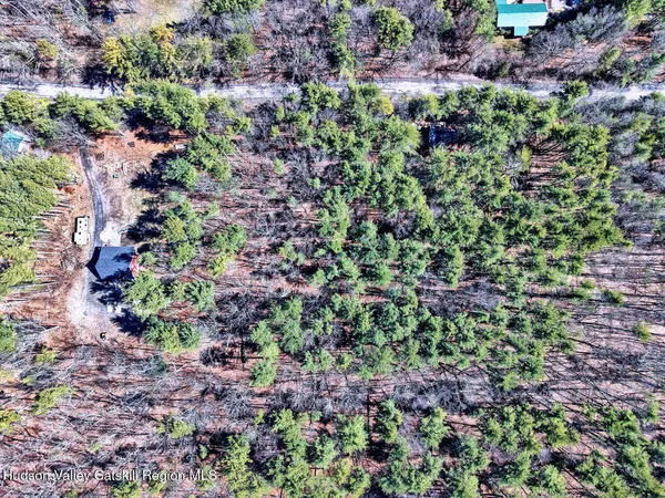 a view of a garden with plants and flowers