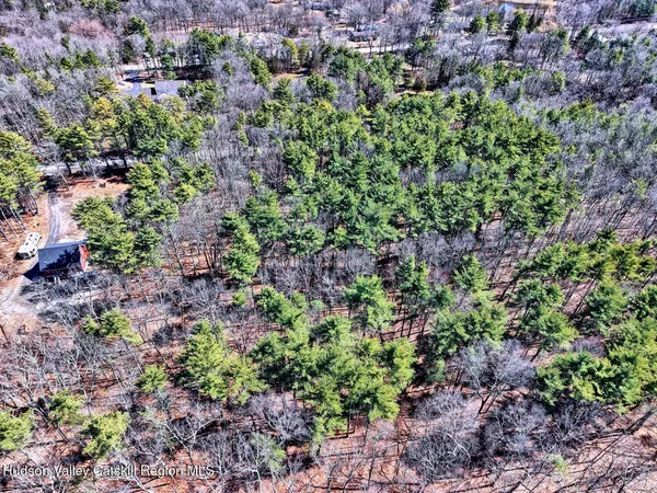 a view of a large yard with lots of trees