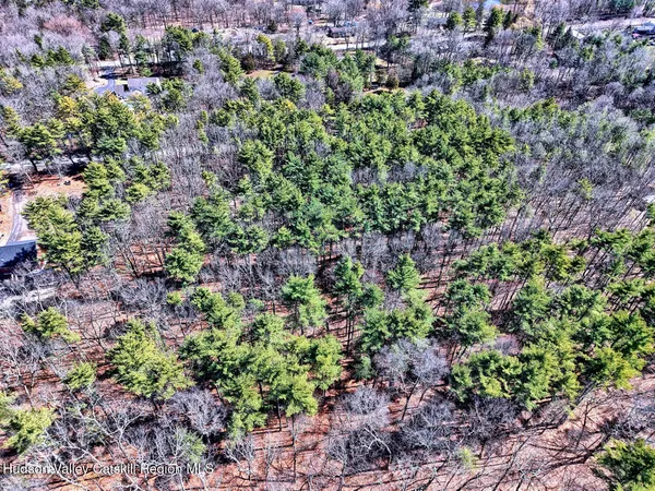 a view of a garden with plants