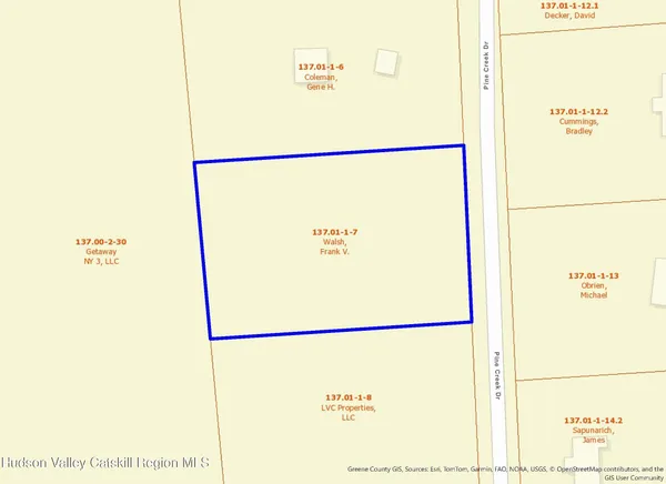 a view of a garden with plants