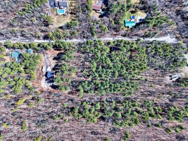 a view of a garden with plants