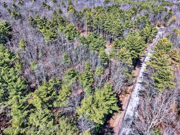 a view of a garden with plants
