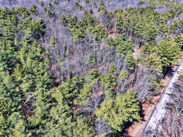 a picture of trees
