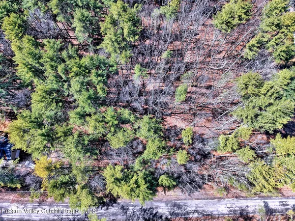 a view of a garden with plants and flowers