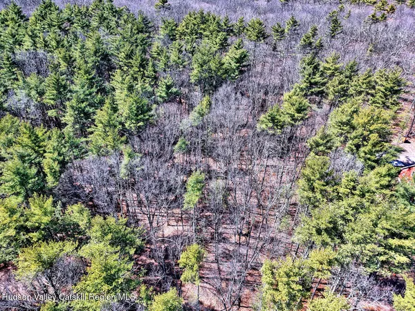 a view of a lush green hillside and a houses