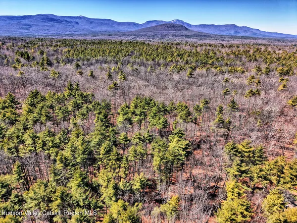 a view of city and mountain