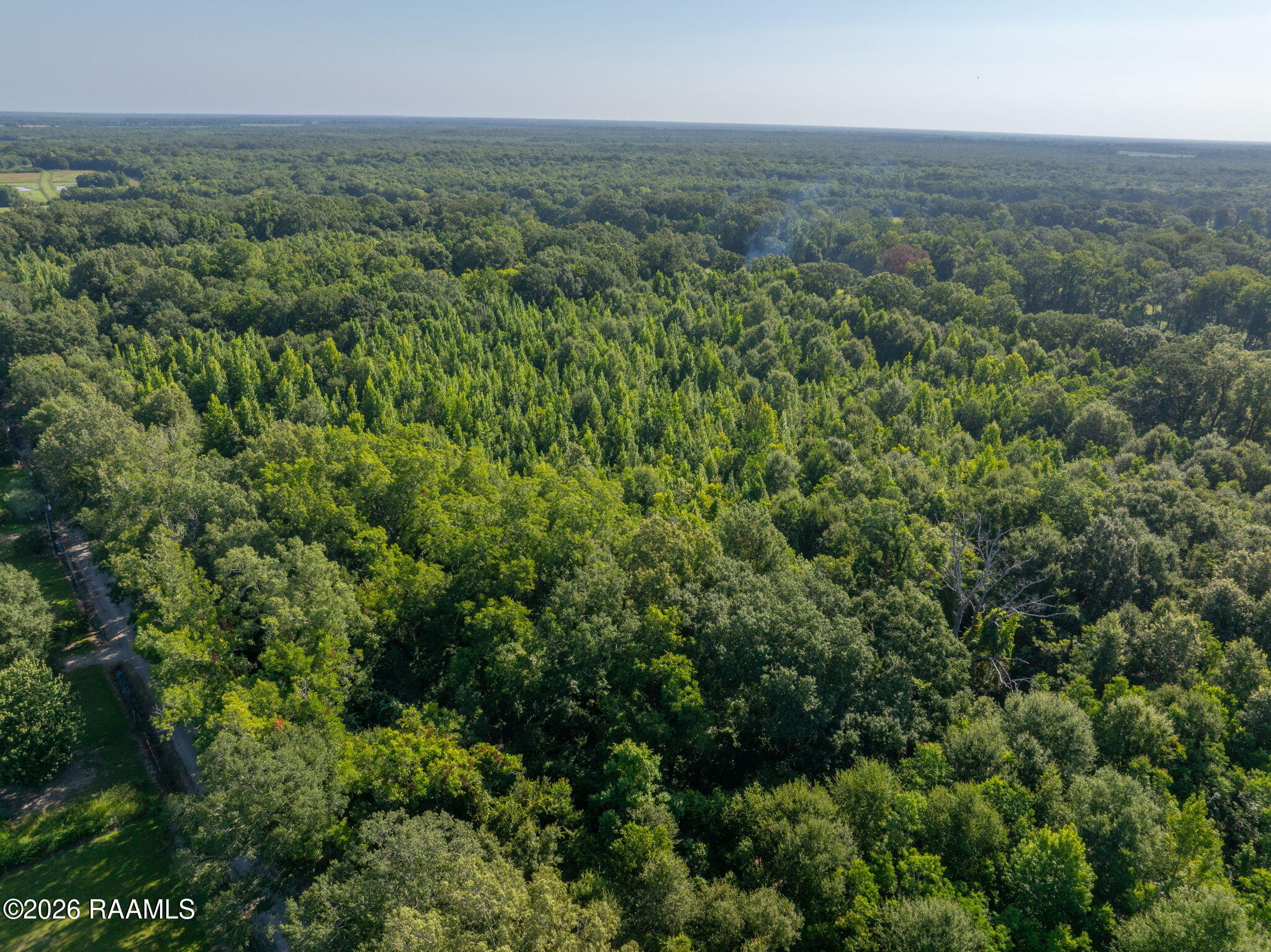 0 Heard Sylvester Road Washington, LA 70589 - Photo 10 of 12 10
