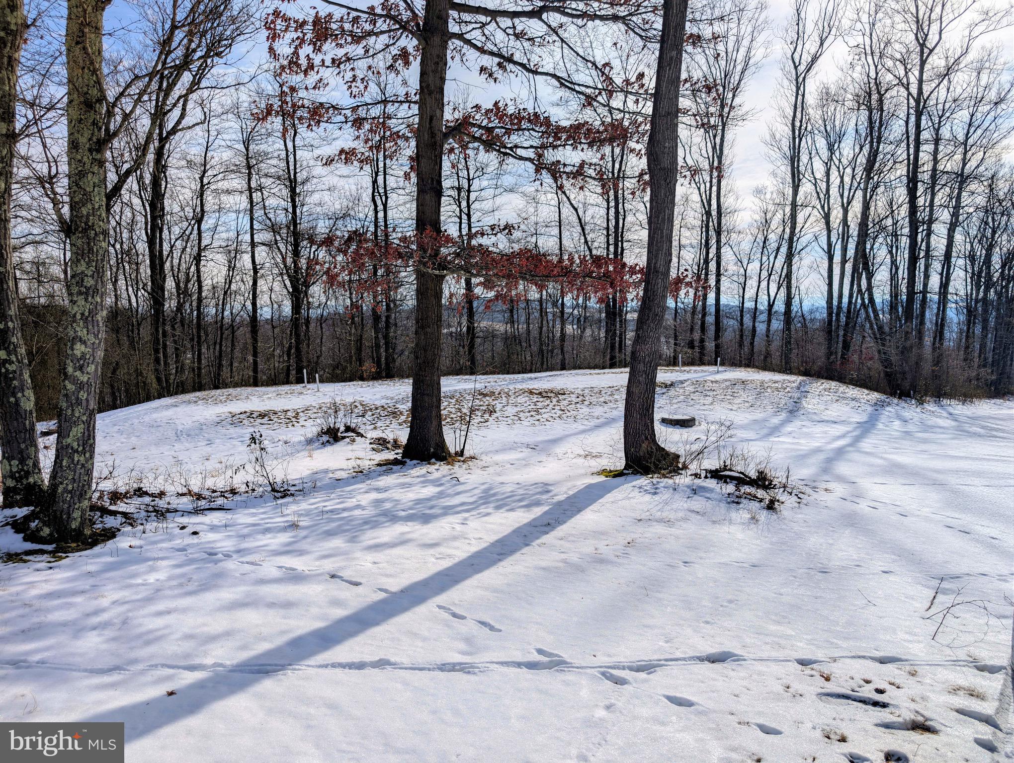 247 Short Cut Road Alum Bank, PA 15521 - Photo 5 of 15 a view of snow on side of road