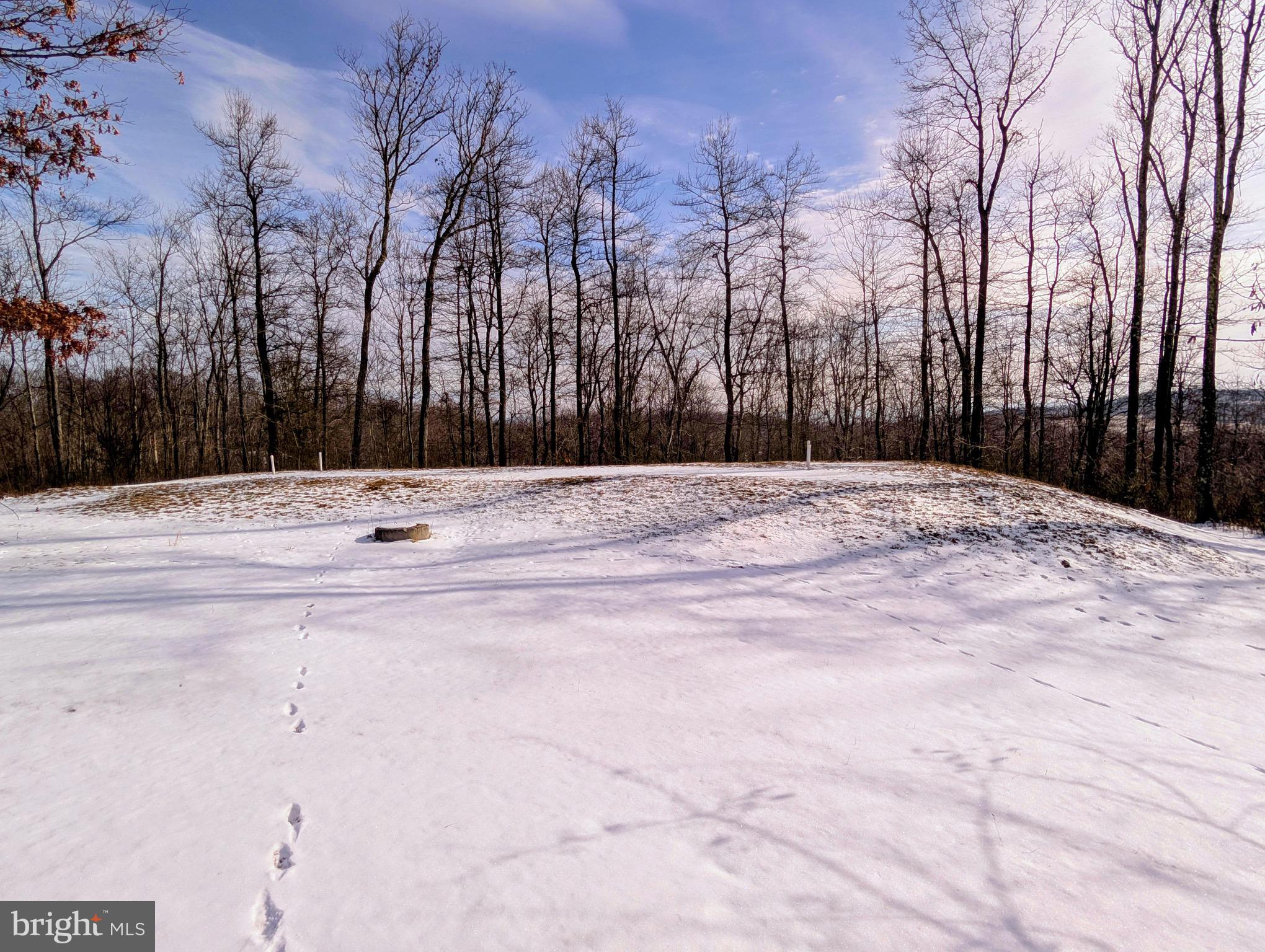 247 Short Cut Road Alum Bank, PA 15521 - Photo 6 of 15 a view of small space with trees
