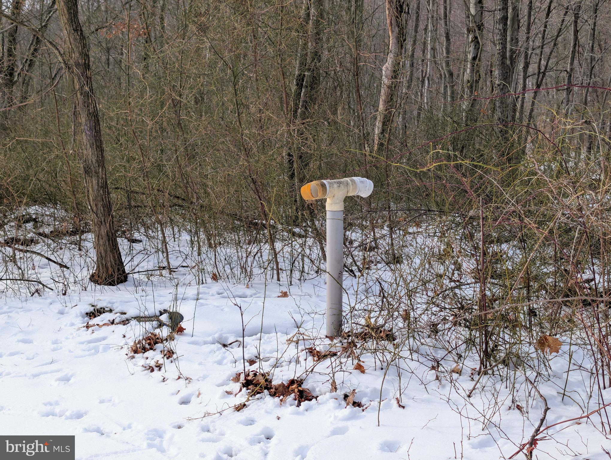247 Short Cut Road Alum Bank, PA 15521 - Photo 9 of 15 a view of a backyard of the house